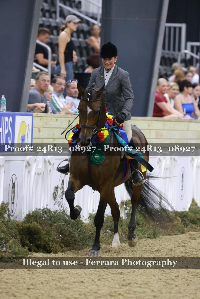 Proof Number 24R13_08927
