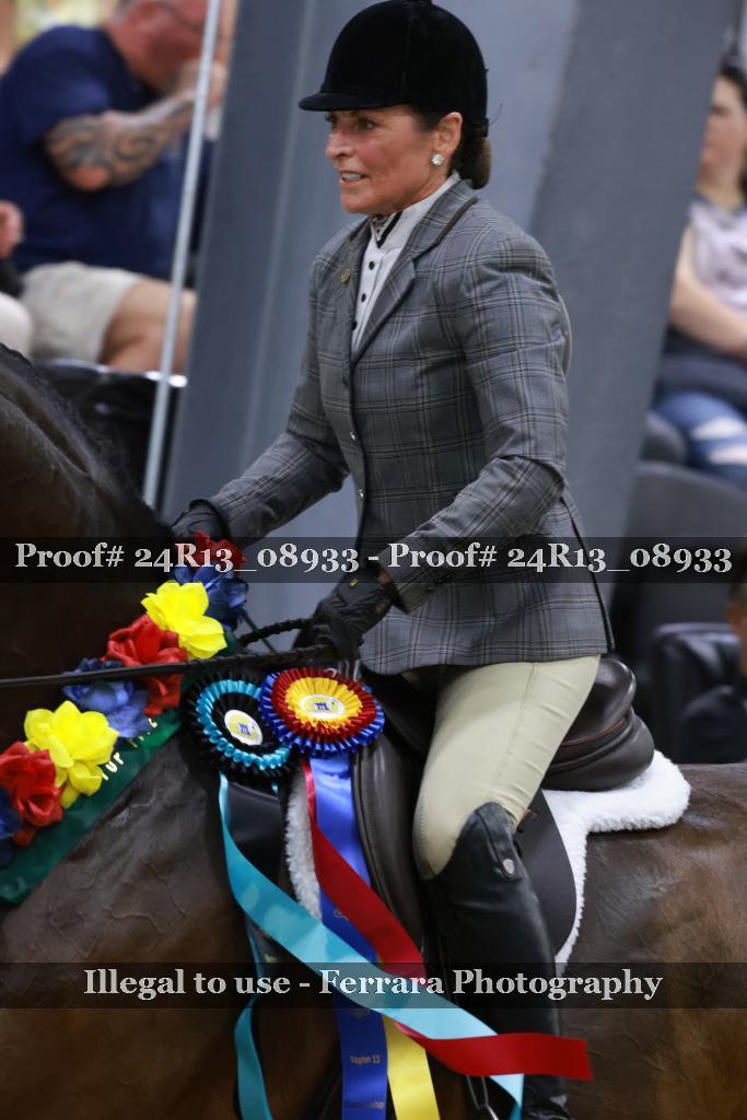 Proof Number 24R13_08933