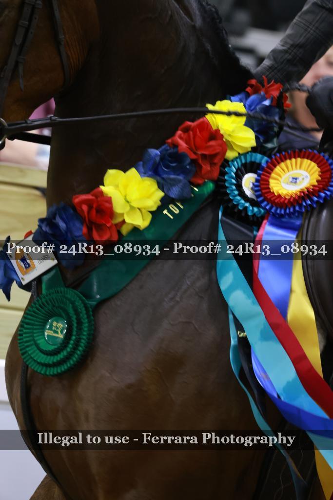 Proof Number 24R13_08934