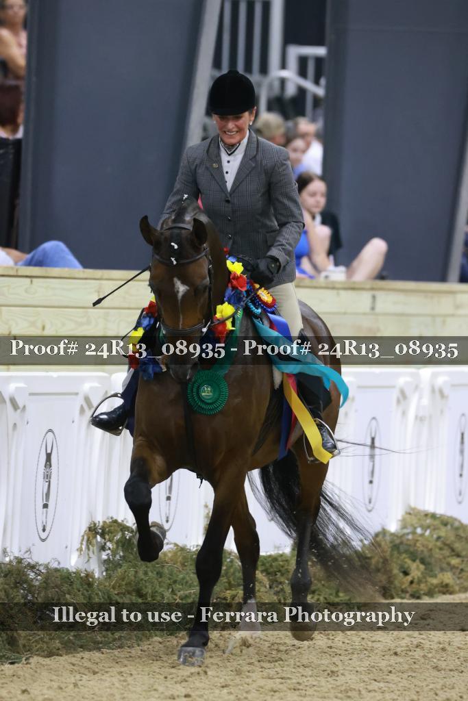 Proof Number 24R13_08935