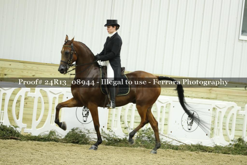 Proof Number 24R13_08944