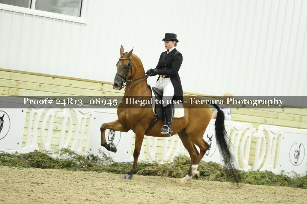 Proof Number 24R13_08945