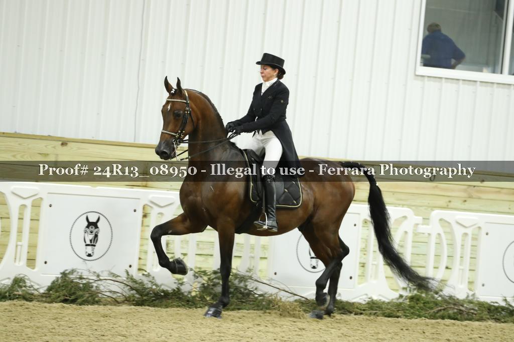 Proof Number 24R13_08950