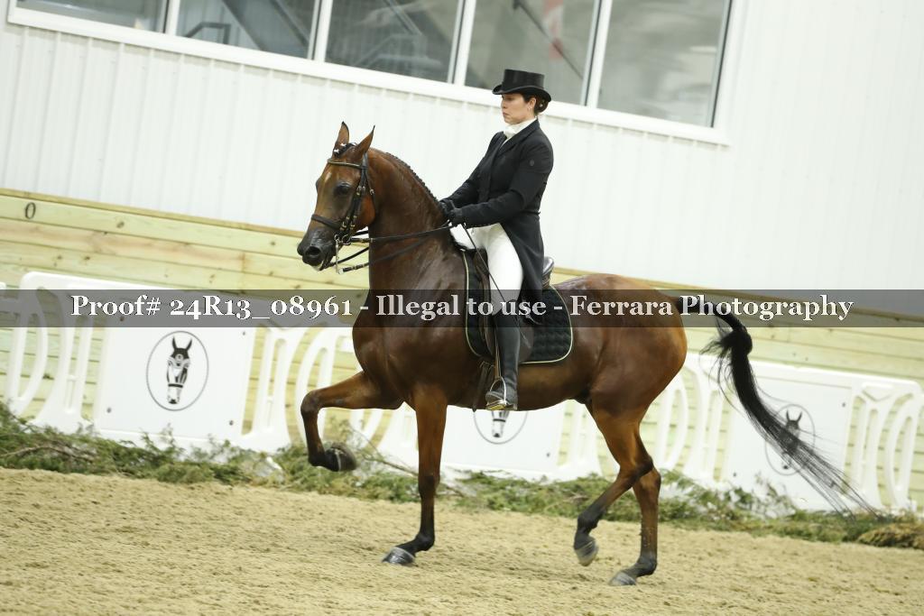 Proof Number 24R13_08961