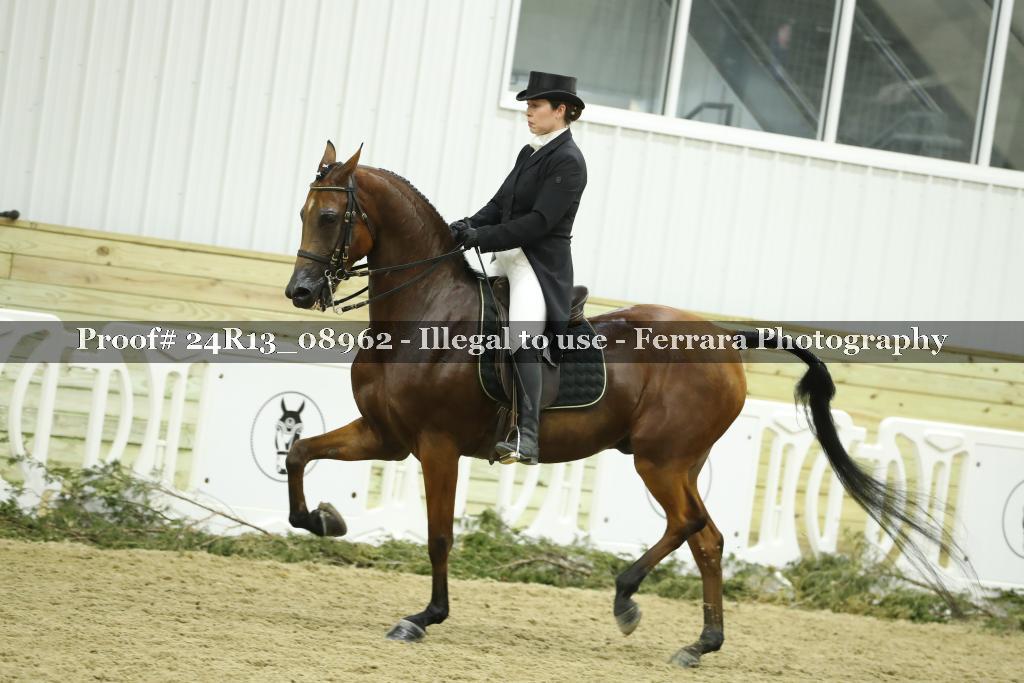 Proof Number 24R13_08962