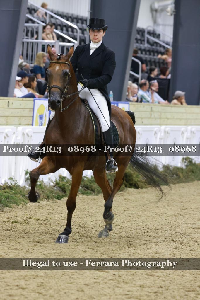 Proof Number 24R13_08968