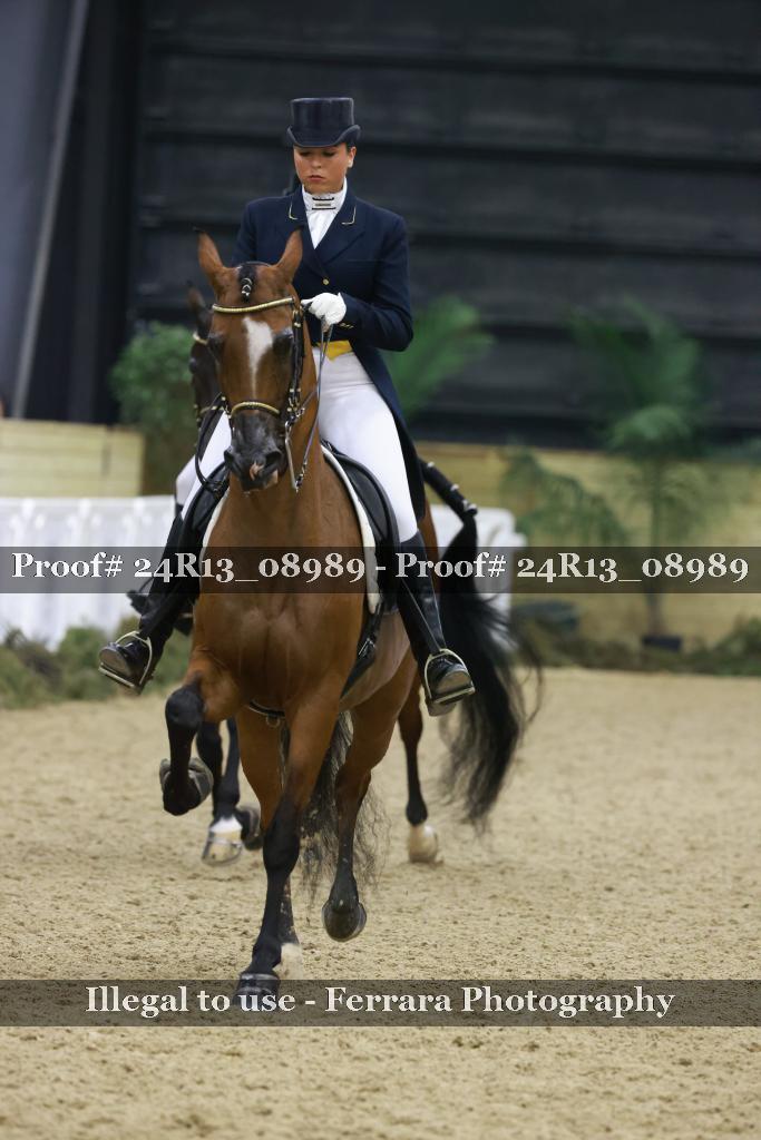 Proof Number 24R13_08989