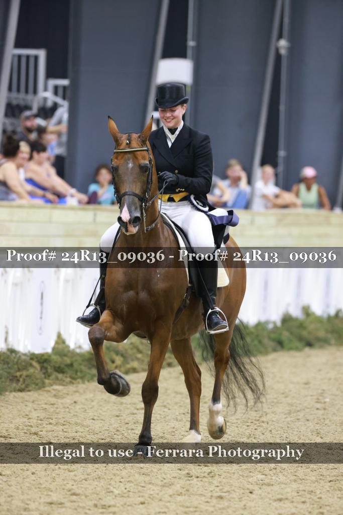 Proof Number 24R13_09036