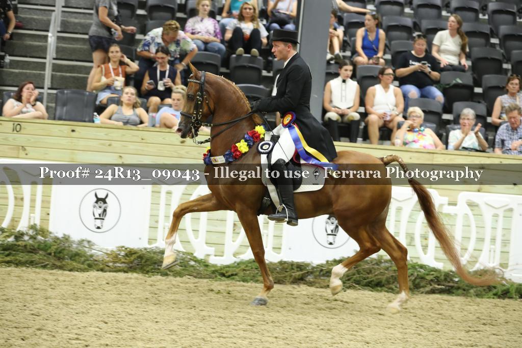 Proof Number 24R13_09043