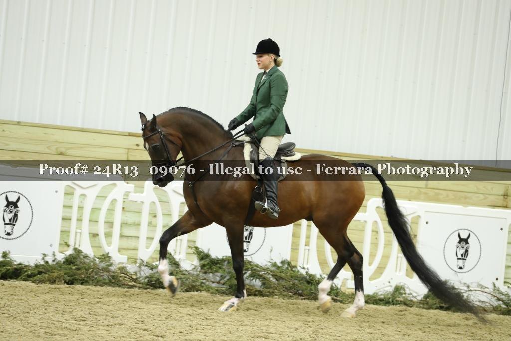 Proof Number 24R13_09076