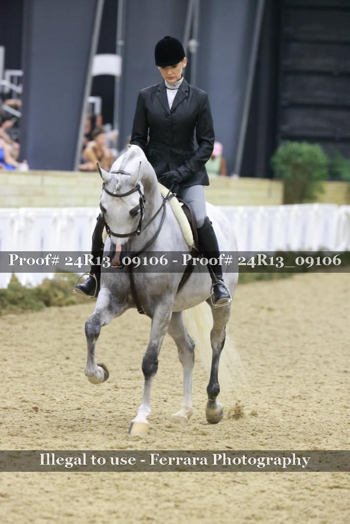 Proof Number 24R13_09106