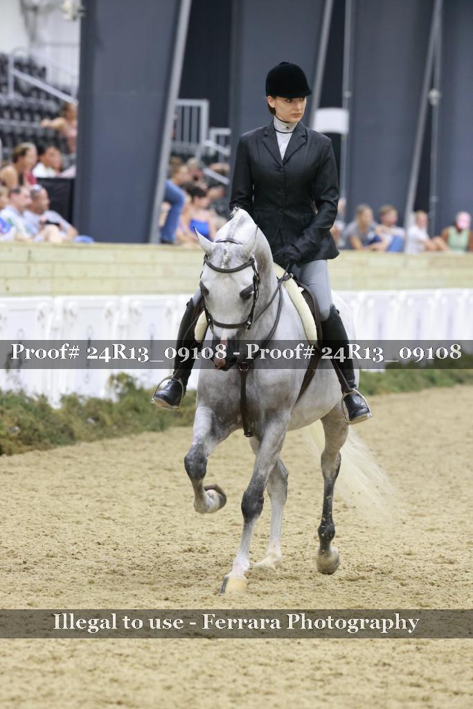 Proof Number 24R13_09108