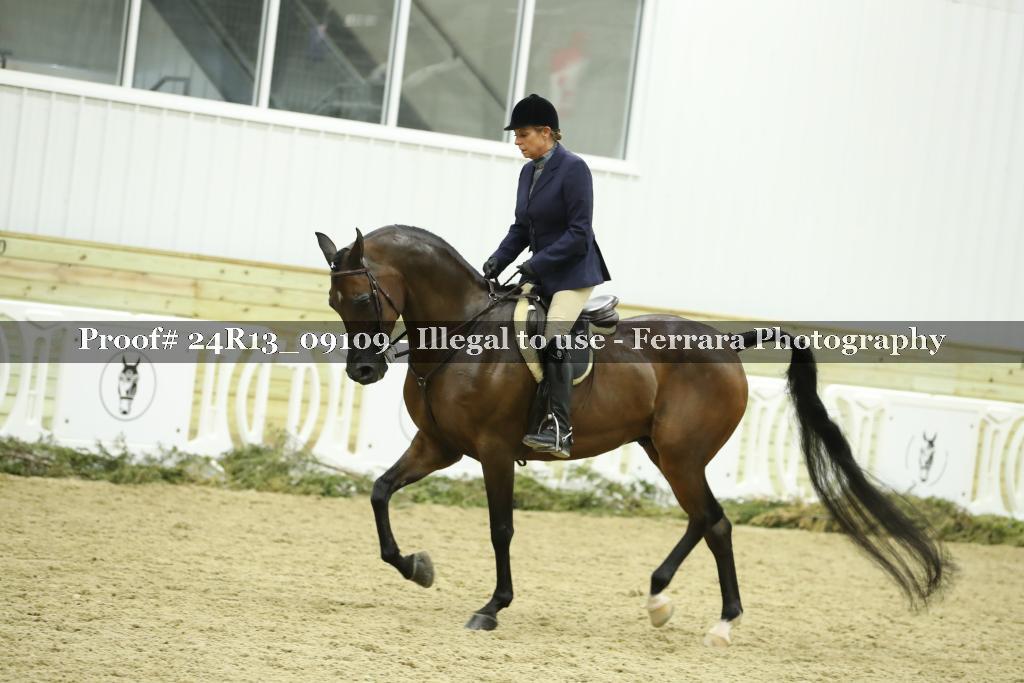 Proof Number 24R13_09109