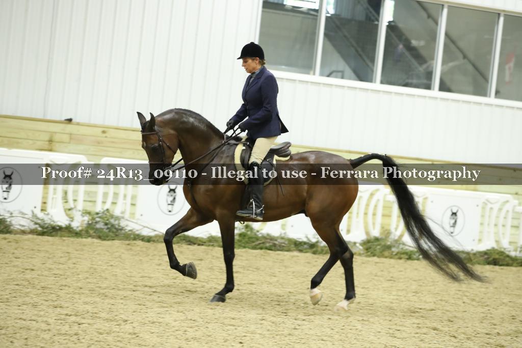 Proof Number 24R13_09110