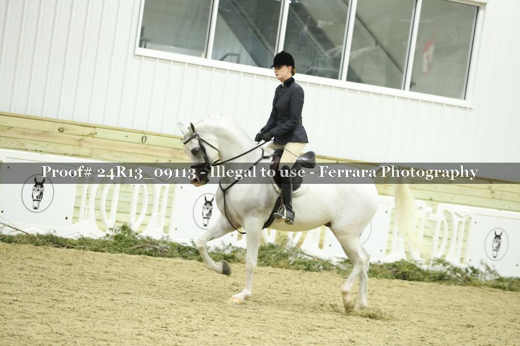 Proof Number 24R13_09113