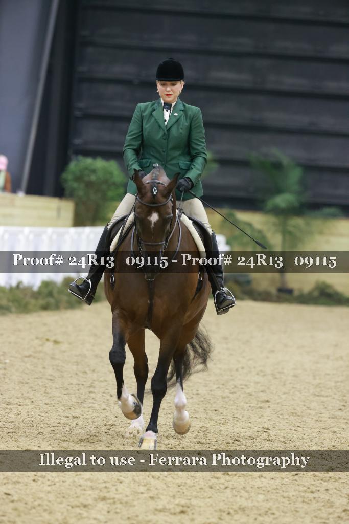 Proof Number 24R13_09115