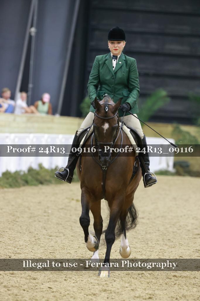 Proof Number 24R13_09116