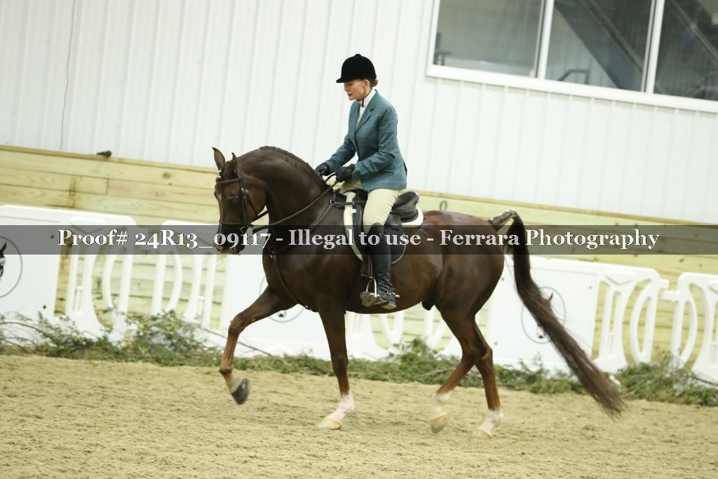 Proof Number 24R13_09117