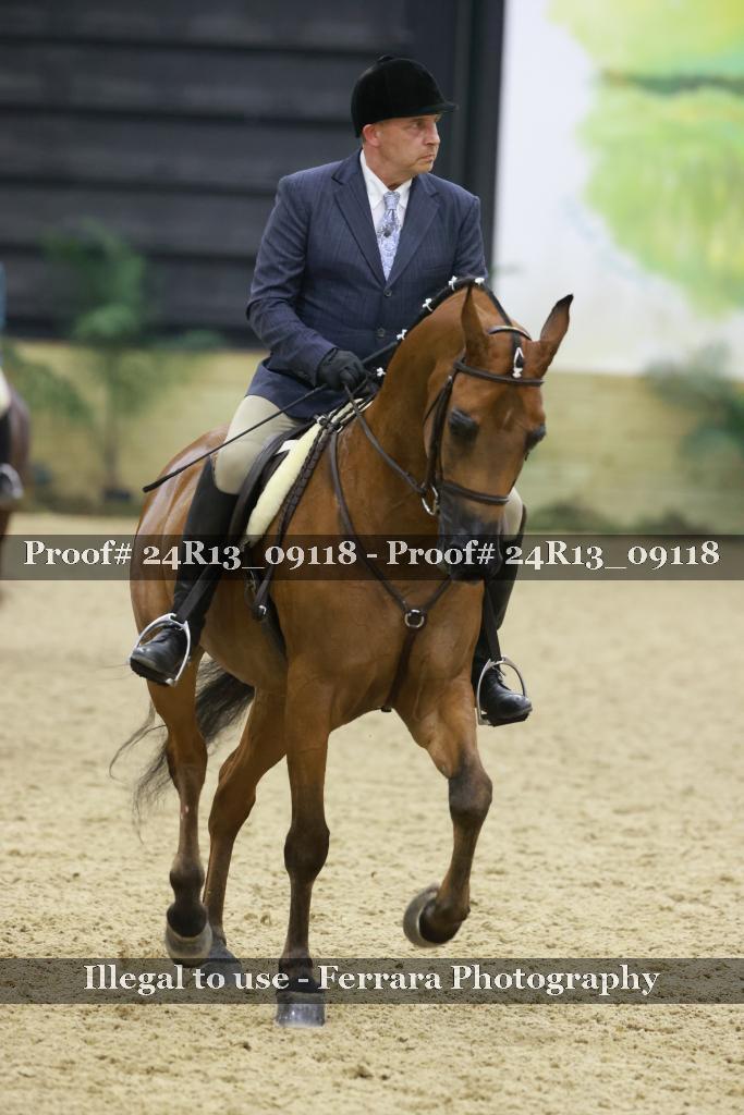 Proof Number 24R13_09118