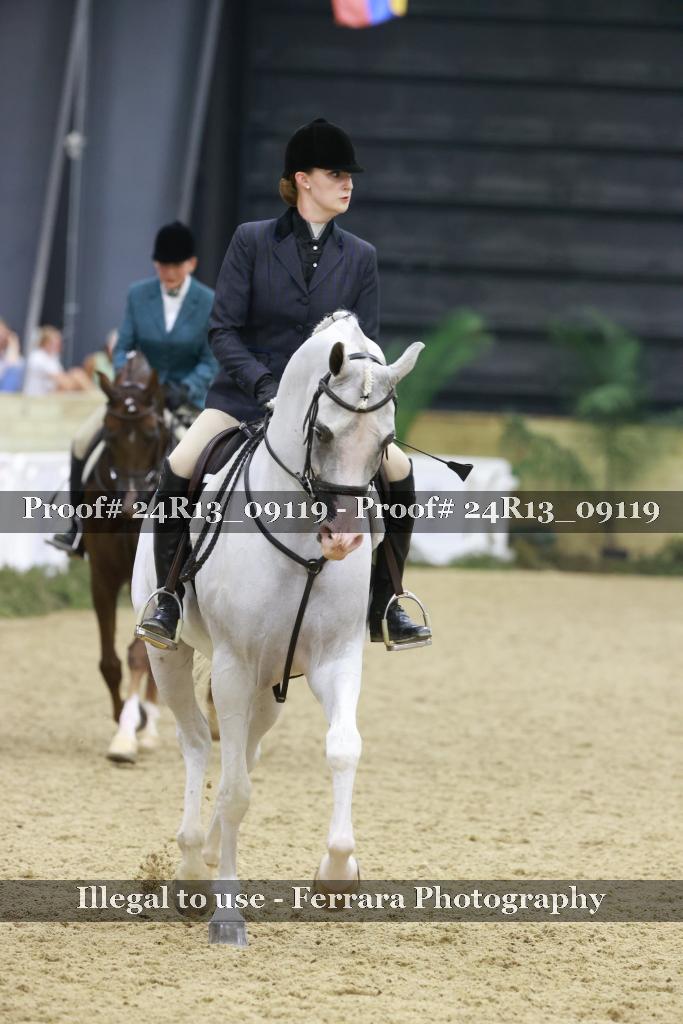Proof Number 24R13_09119