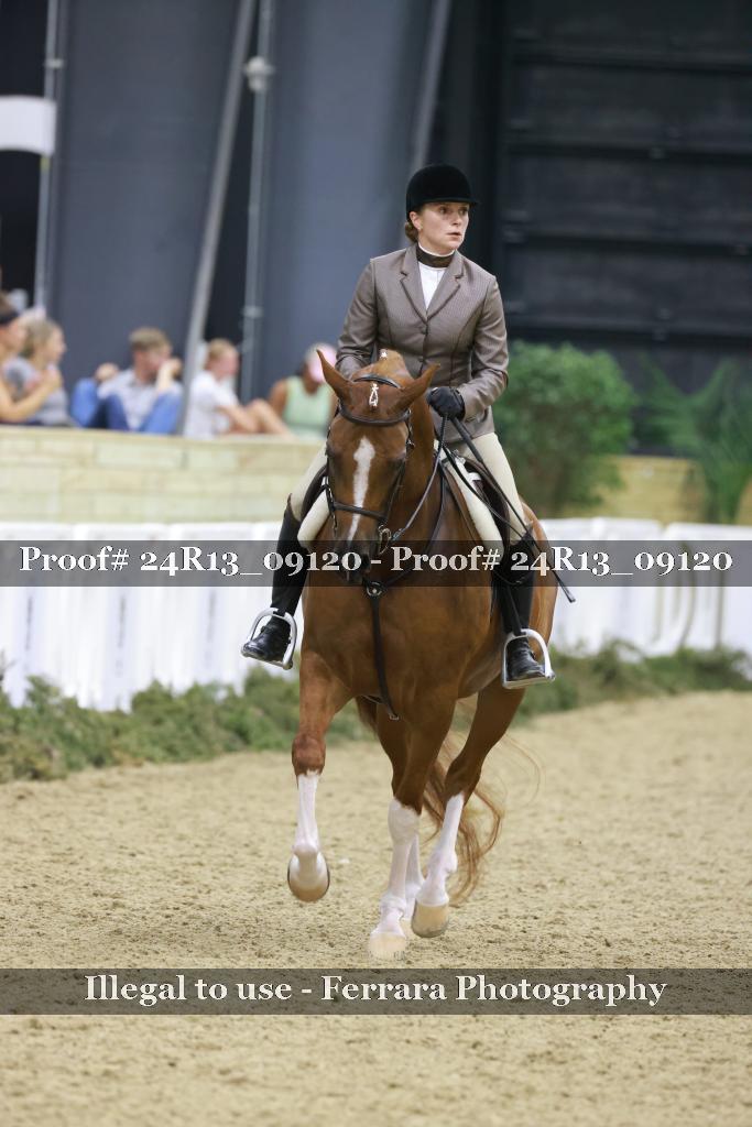 Proof Number 24R13_09120