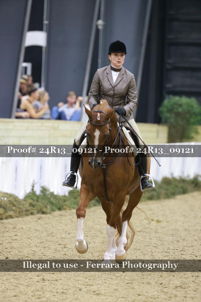 Proof Number 24R13_09121