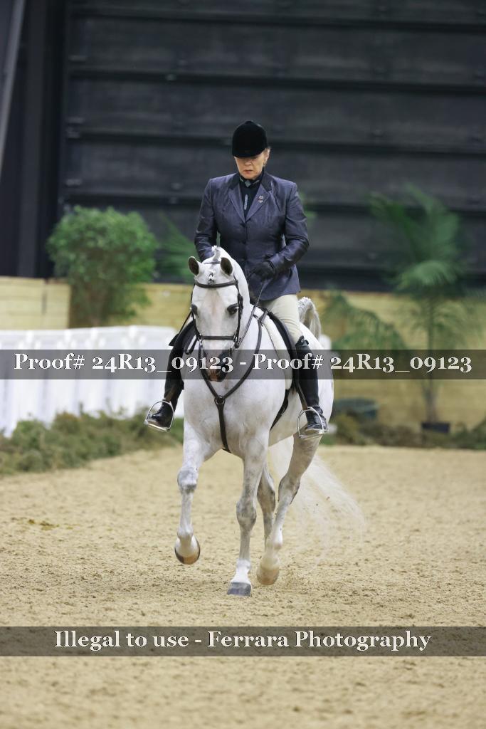 Proof Number 24R13_09123