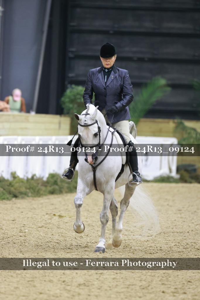 Proof Number 24R13_09124