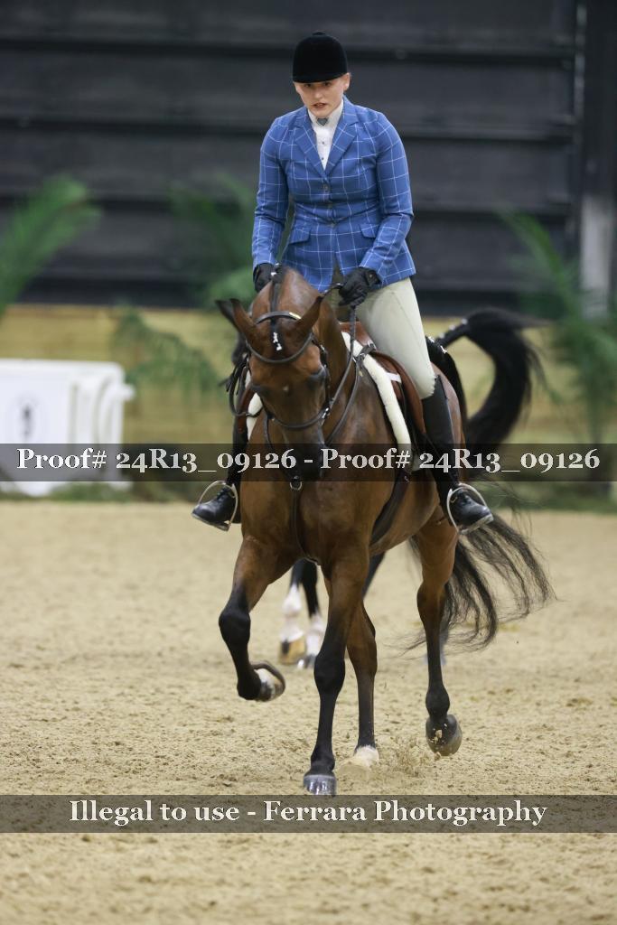 Proof Number 24R13_09126