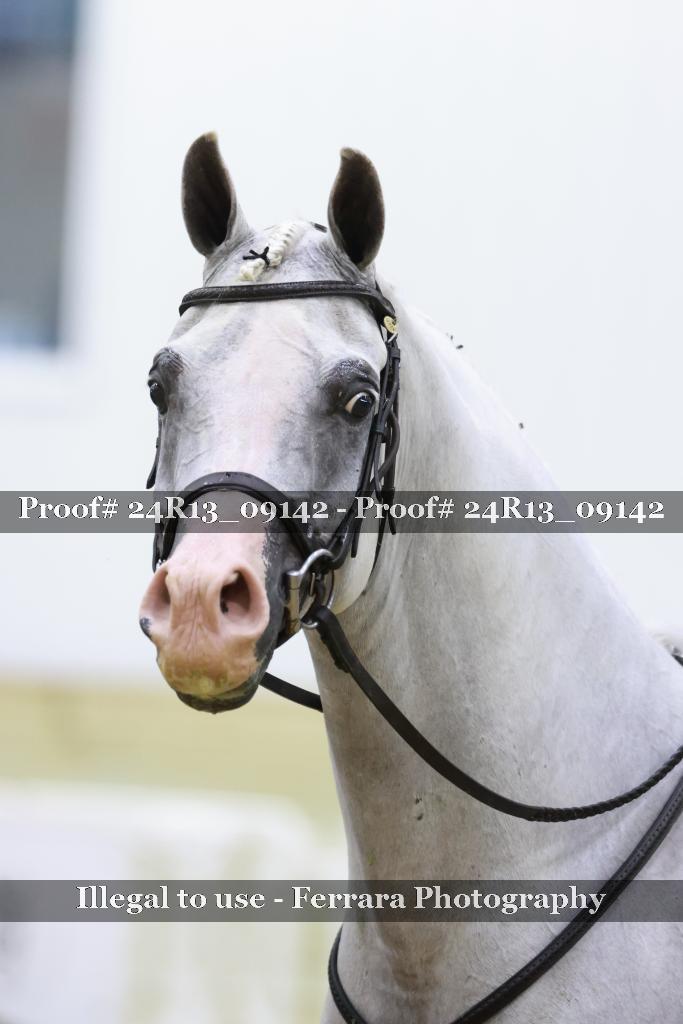 Proof Number 24R13_09142