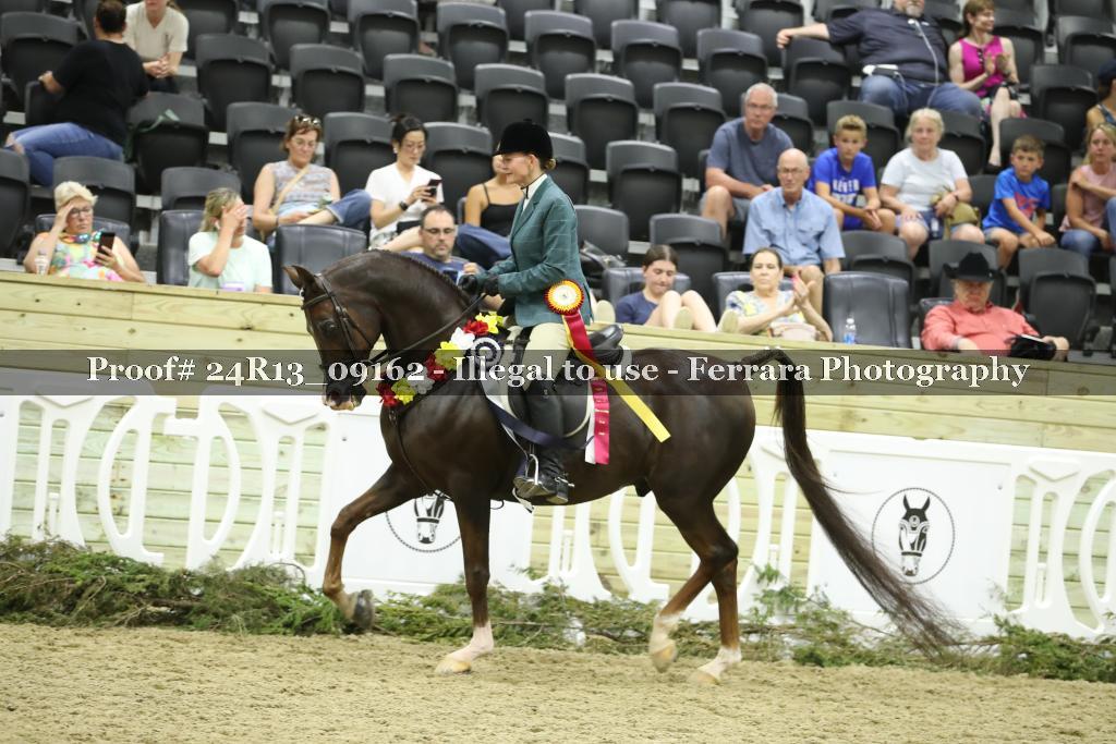 Proof Number 24R13_09162