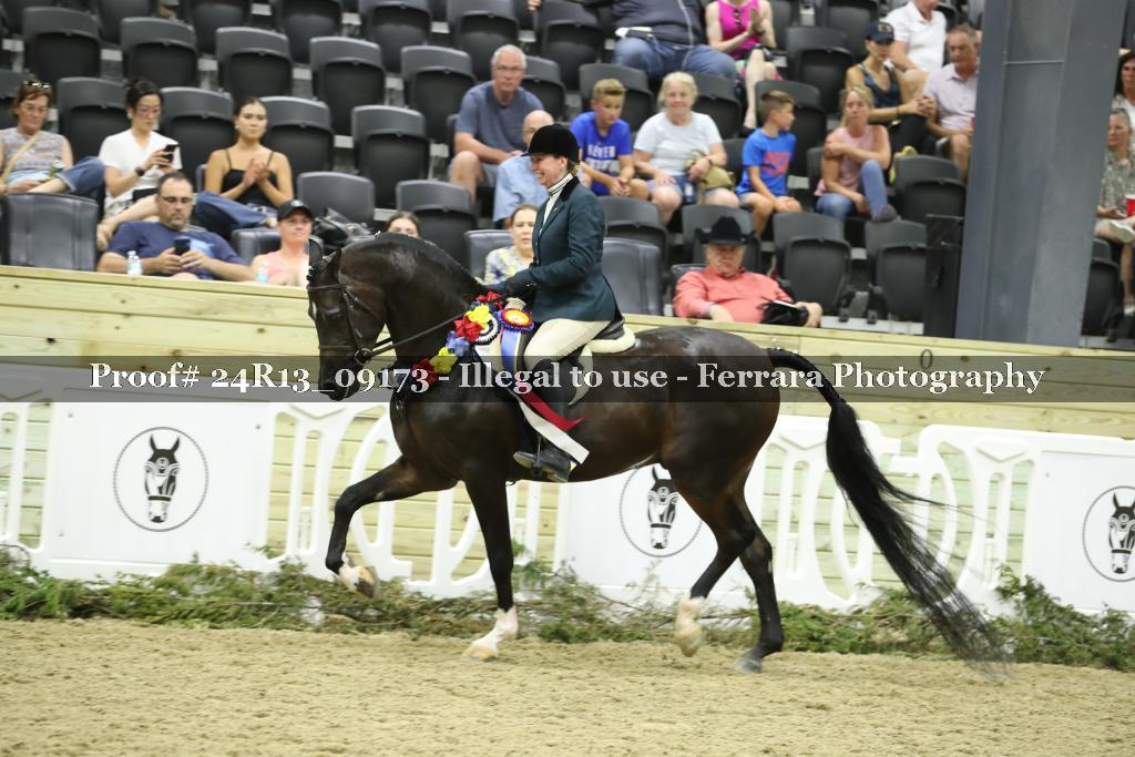 Proof Number 24R13_09173