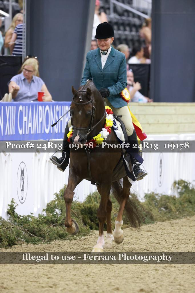 Proof Number 24R13_09178