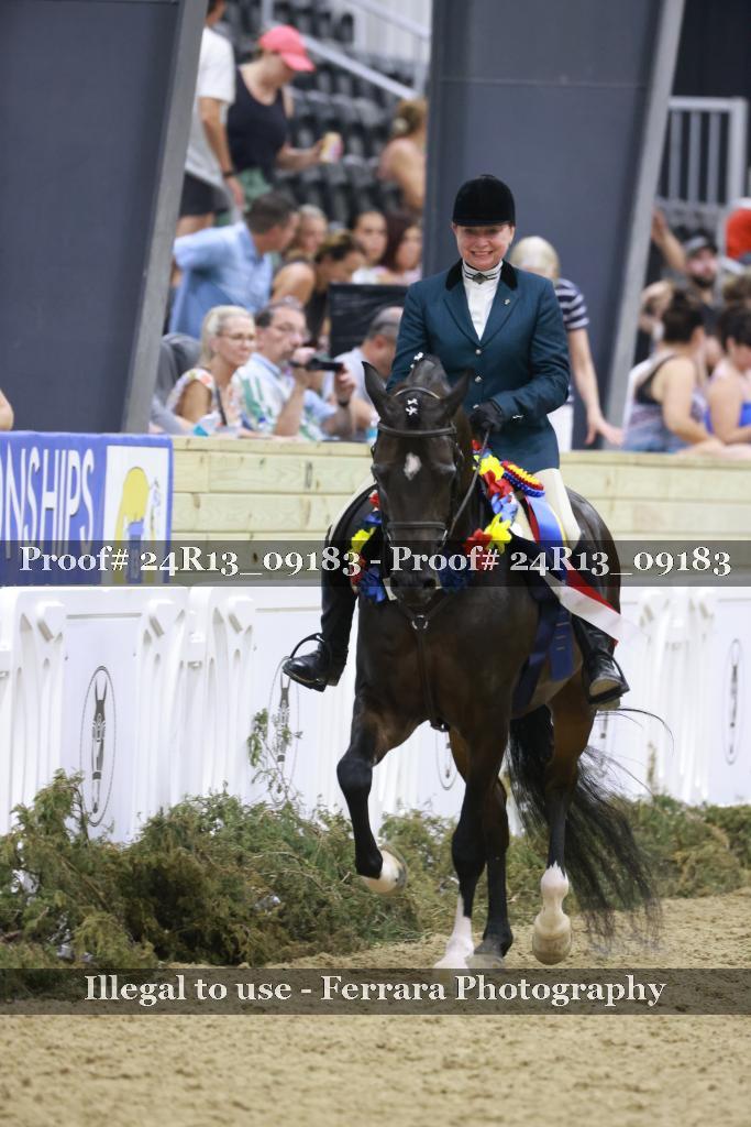 Proof Number 24R13_09183