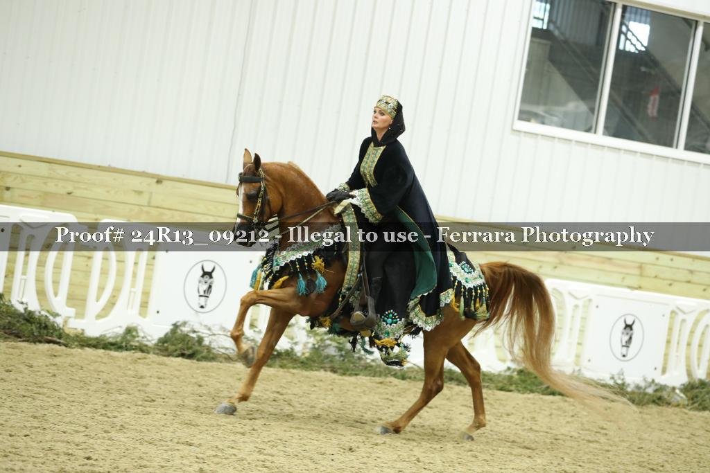 Proof Number 24R13_09212