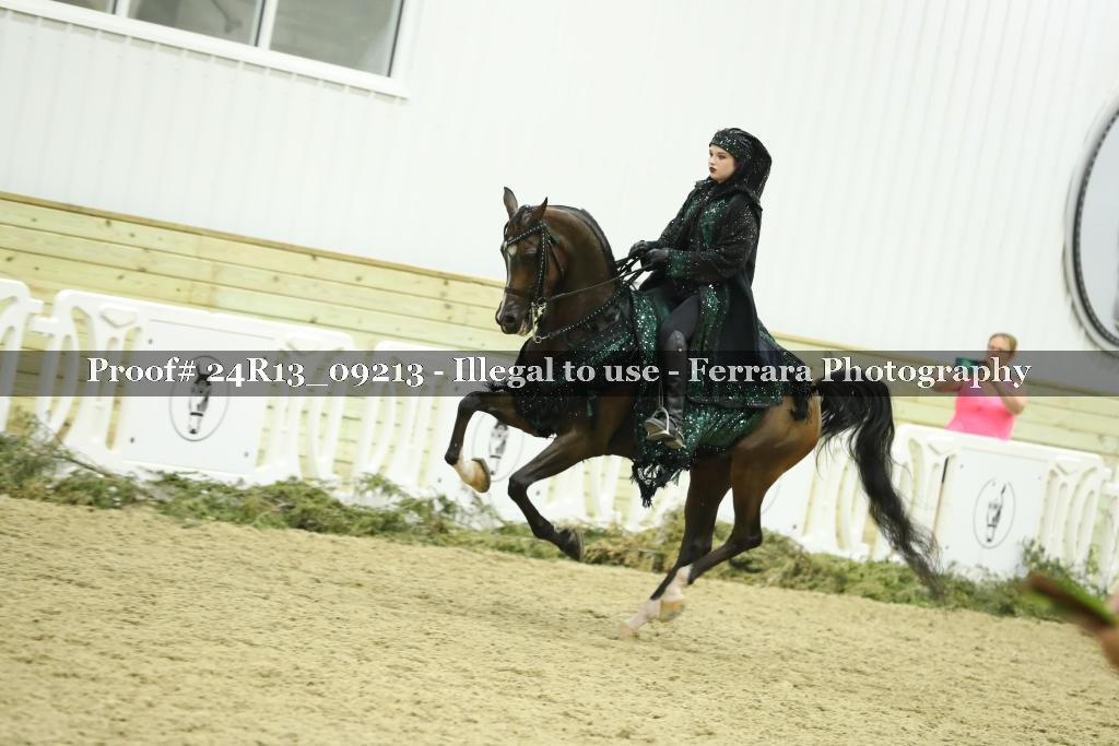 Proof Number 24R13_09213