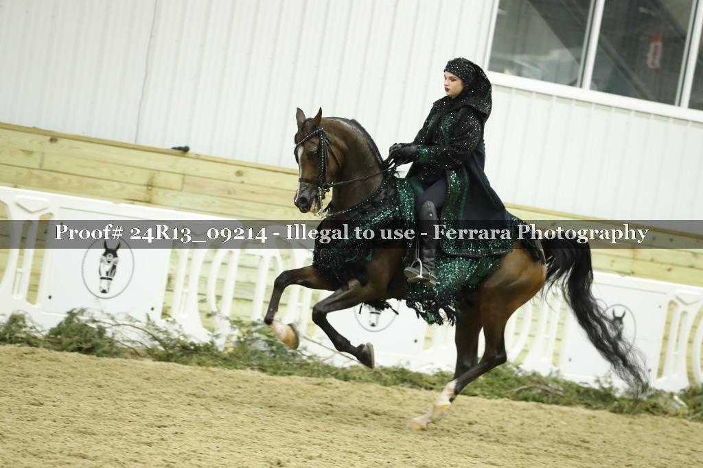 Proof Number 24R13_09214