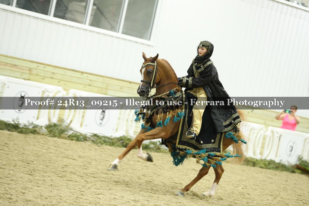 Proof Number 24R13_09215
