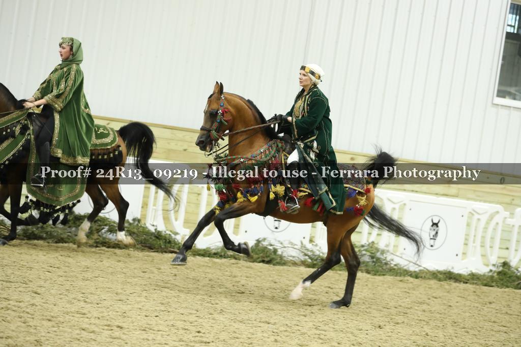 Proof Number 24R13_09219