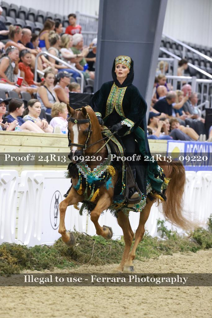 Proof Number 24R13_09220
