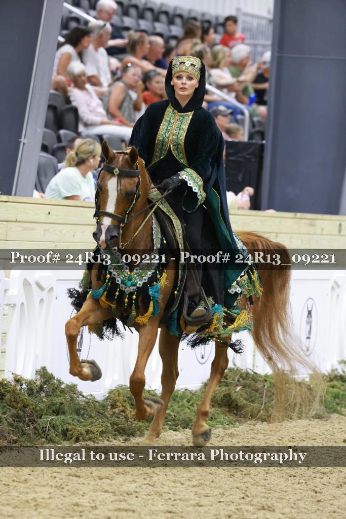Proof Number 24R13_09221