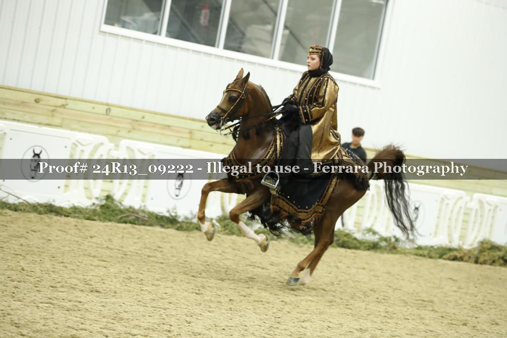 Proof Number 24R13_09222