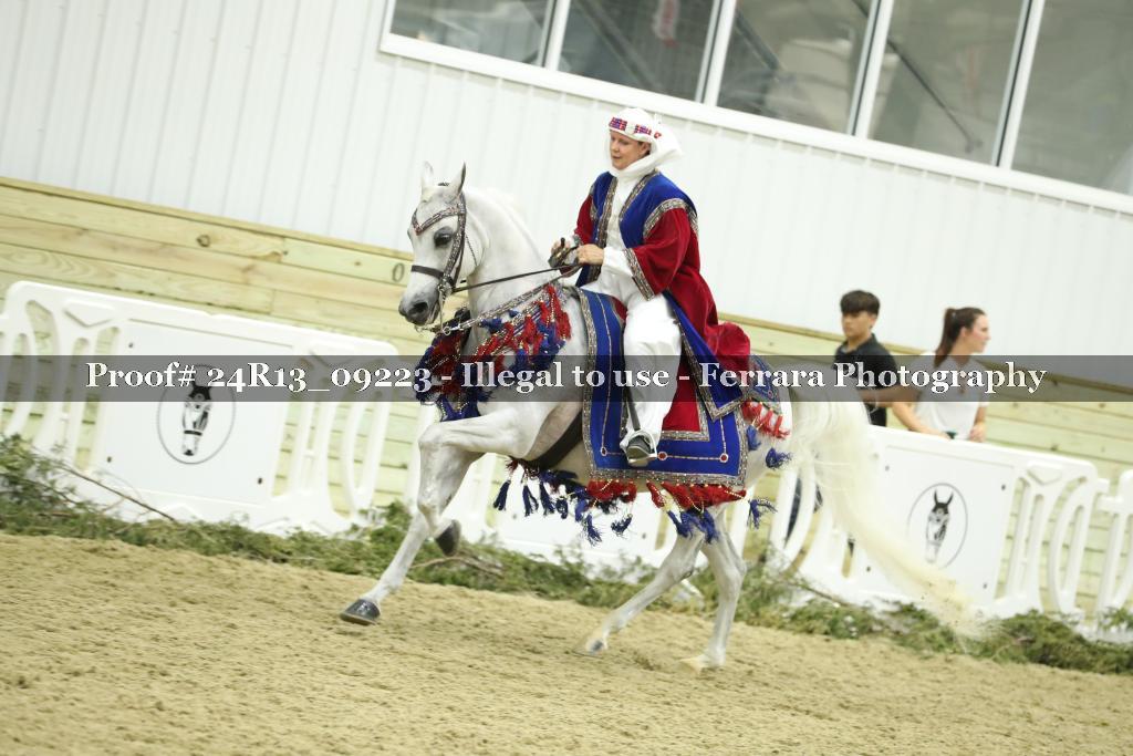 Proof Number 24R13_09223