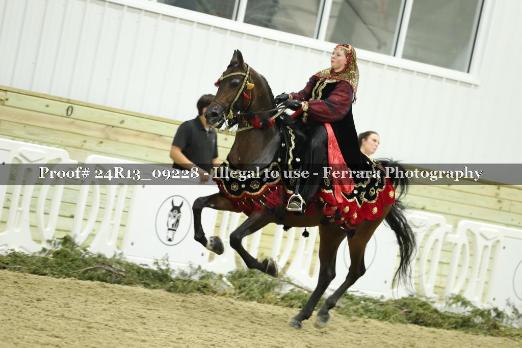 Proof Number 24R13_09228