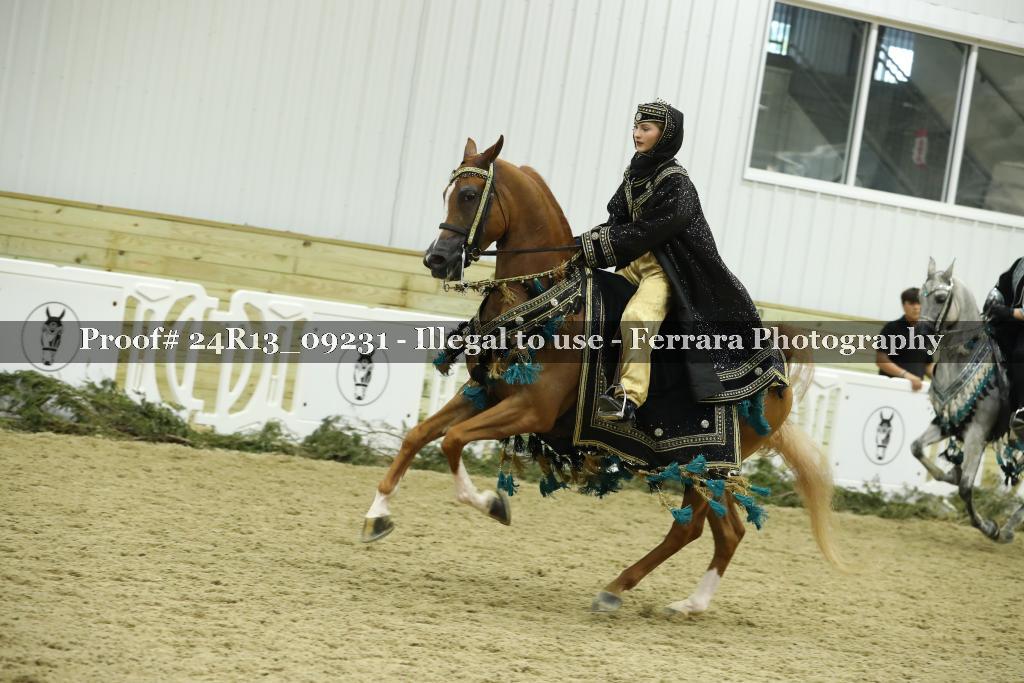 Proof Number 24R13_09231
