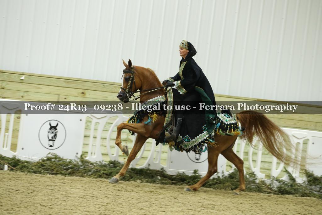 Proof Number 24R13_09238