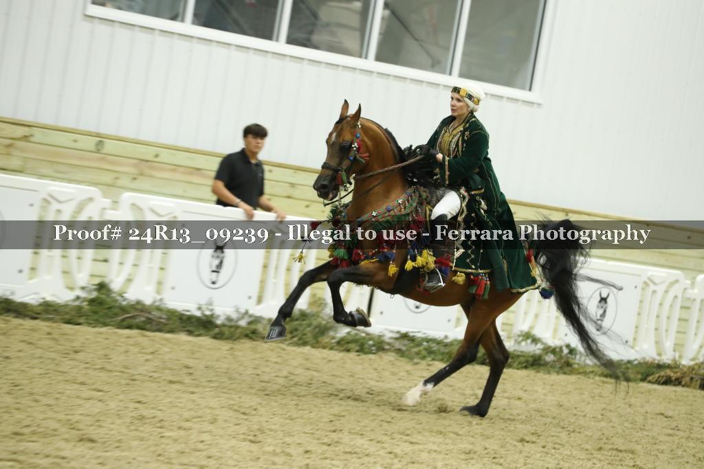Proof Number 24R13_09239
