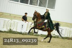 24R13_09239 thumbnail