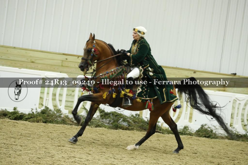 Proof Number 24R13_09240