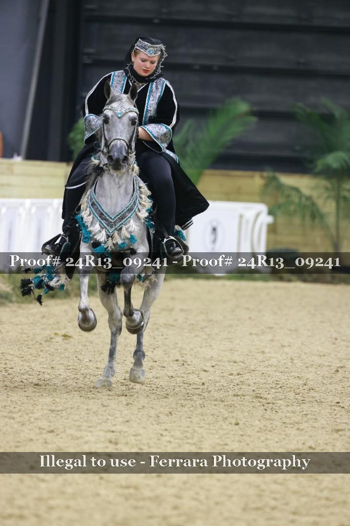 Proof Number 24R13_09241